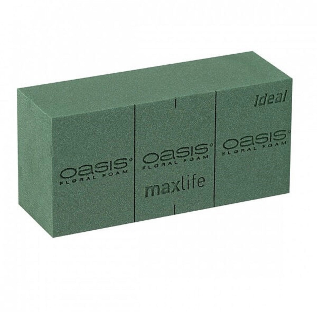 X2 Floral Foam #FF1080