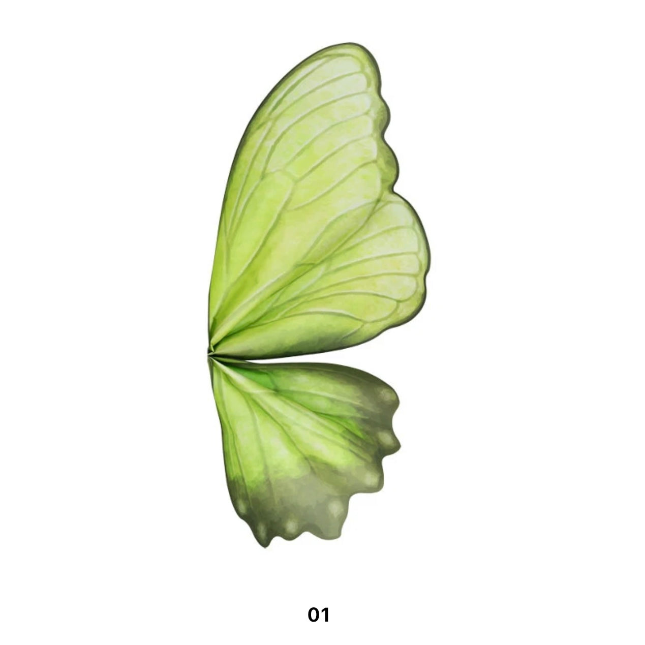 5 Sets-Pack Colorful Butterfly 50*56cm #WP1366