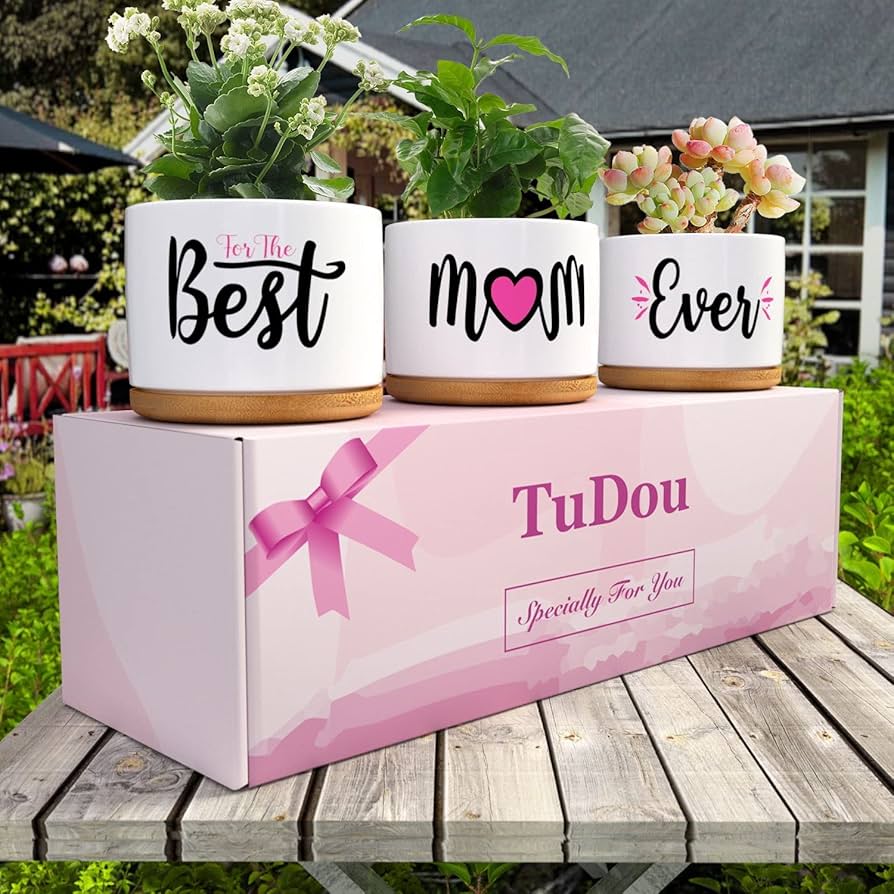 Plant Pots Set #PP1750