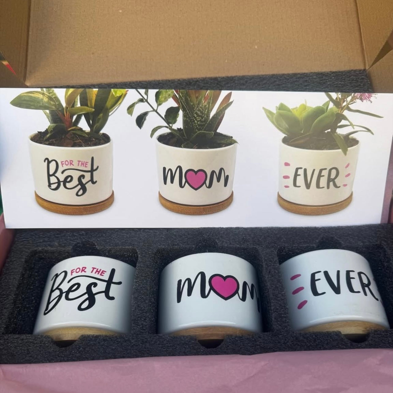 Plant Pots Set #PP1750