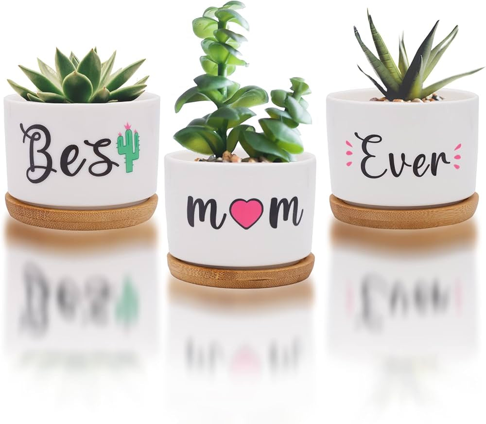 Plant Pots Set #PP1750