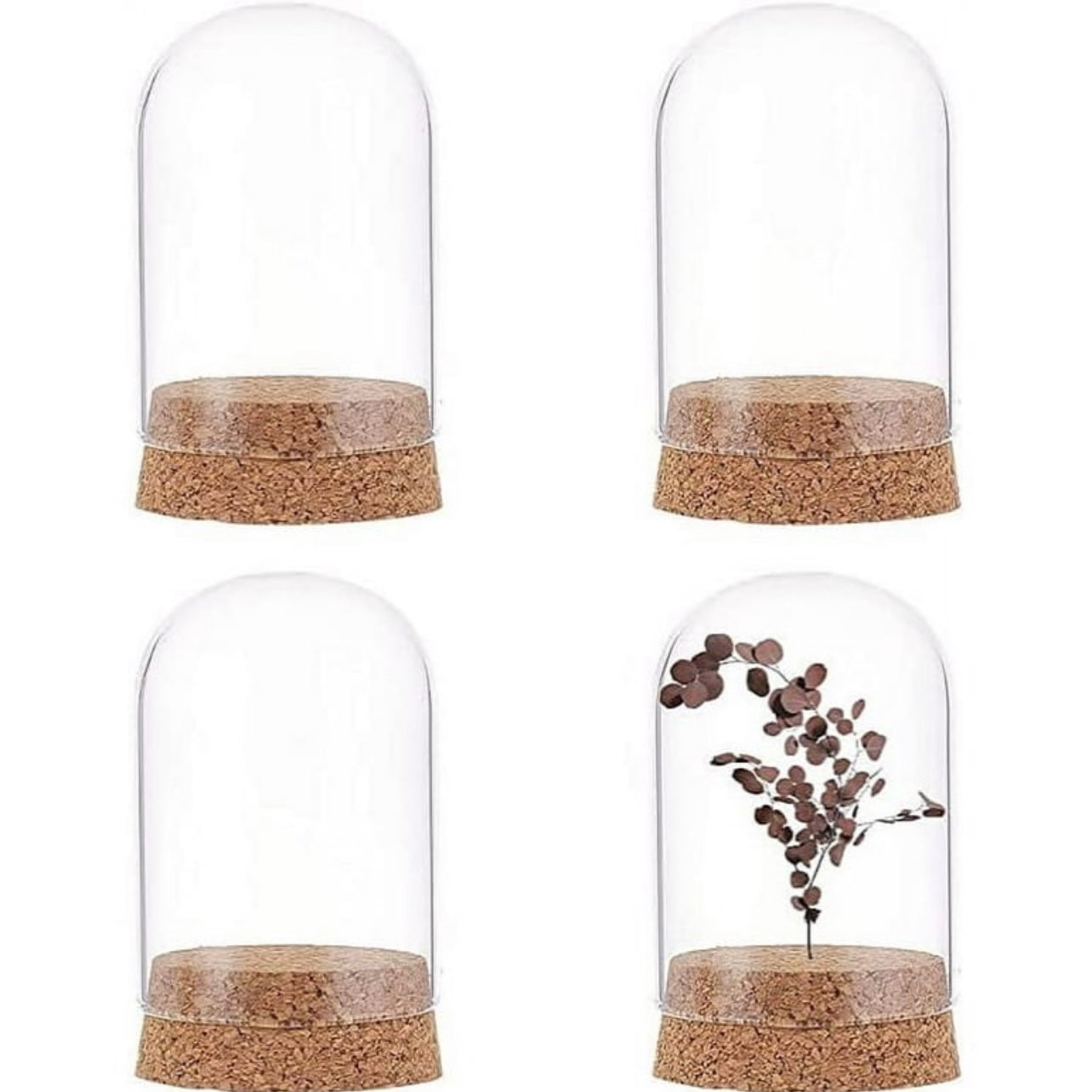 Mini Dome Glass #DG1779