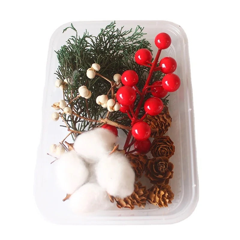 Christmas Dried Flower #DF1551