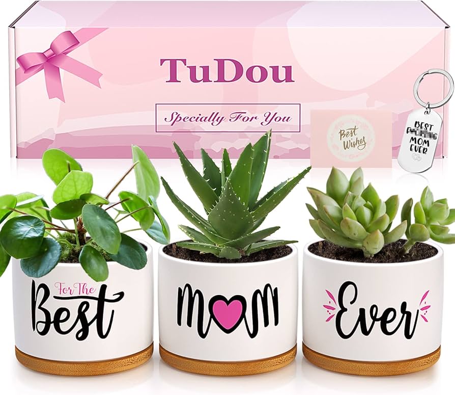 Plant Pots Set #PP1750