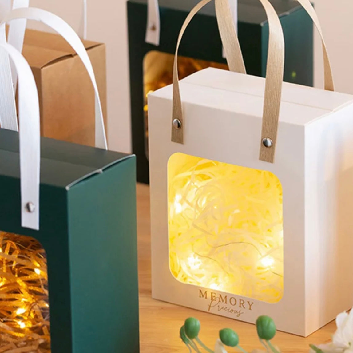 Paper Gift Bag