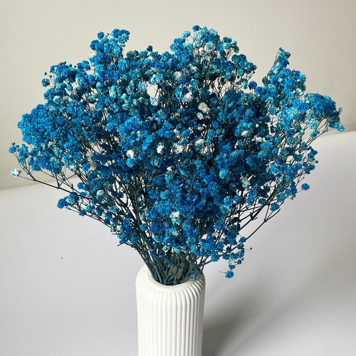 Navy Gypsophila 120g #DG1179