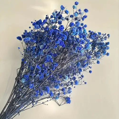 Navy Gypsophila 120g #DG1179