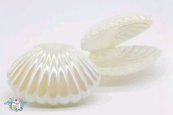 X12pcs Plastic Sea Shell Shape Box #SB1655