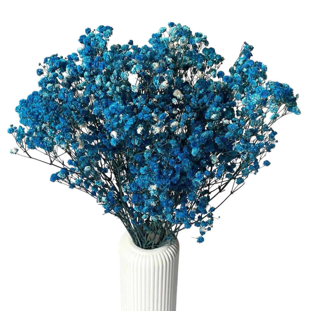 Navy Gypsophila 120g #DG1179