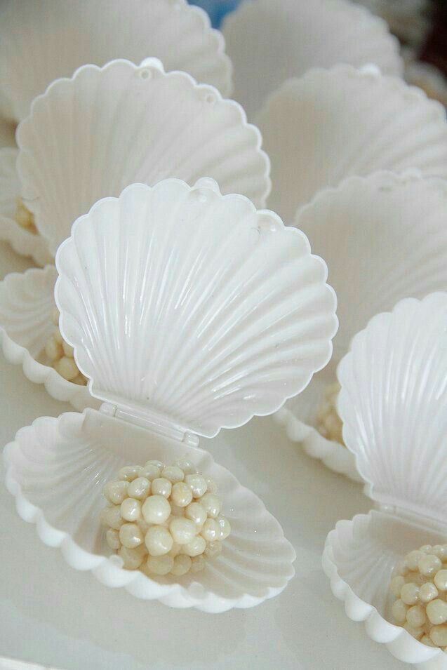 X12pcs Plastic Sea Shell Shape Box #SB1655