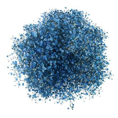 Navy Gypsophila 120g #DG1179